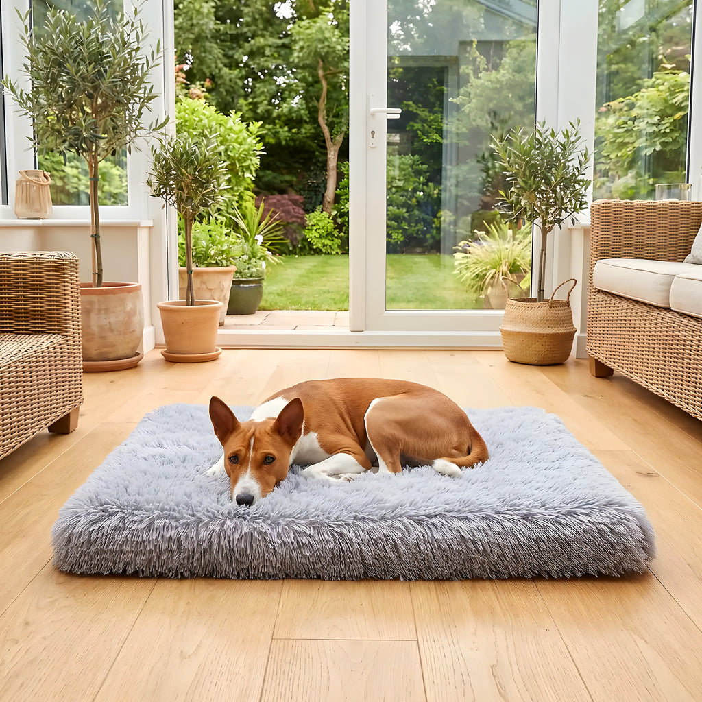Coussin orthopédique déhoussable en peluche pour chien