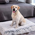 Coussin orthopédique pour chien, S à L