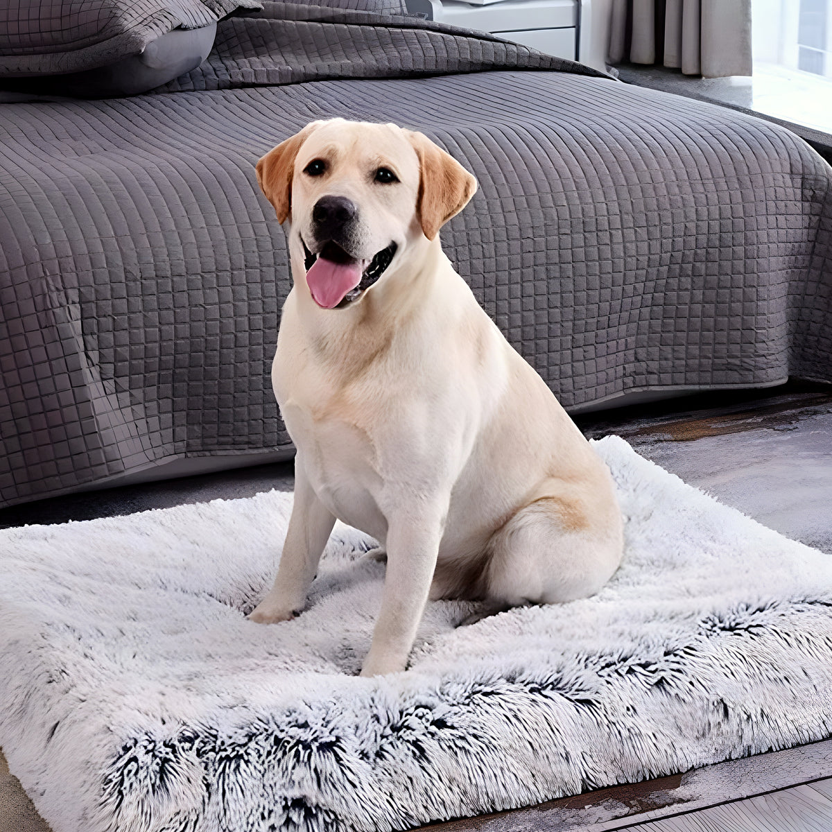 Coussin orthopédique pour chien, S à L