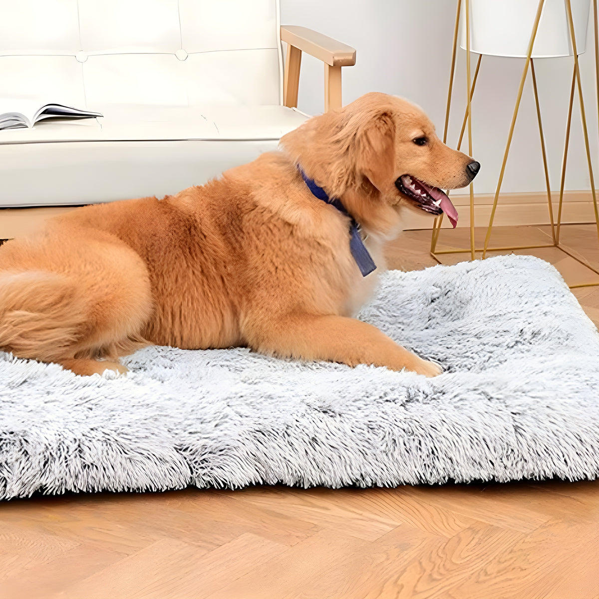 Coussin orthopédique pour chien, S à L