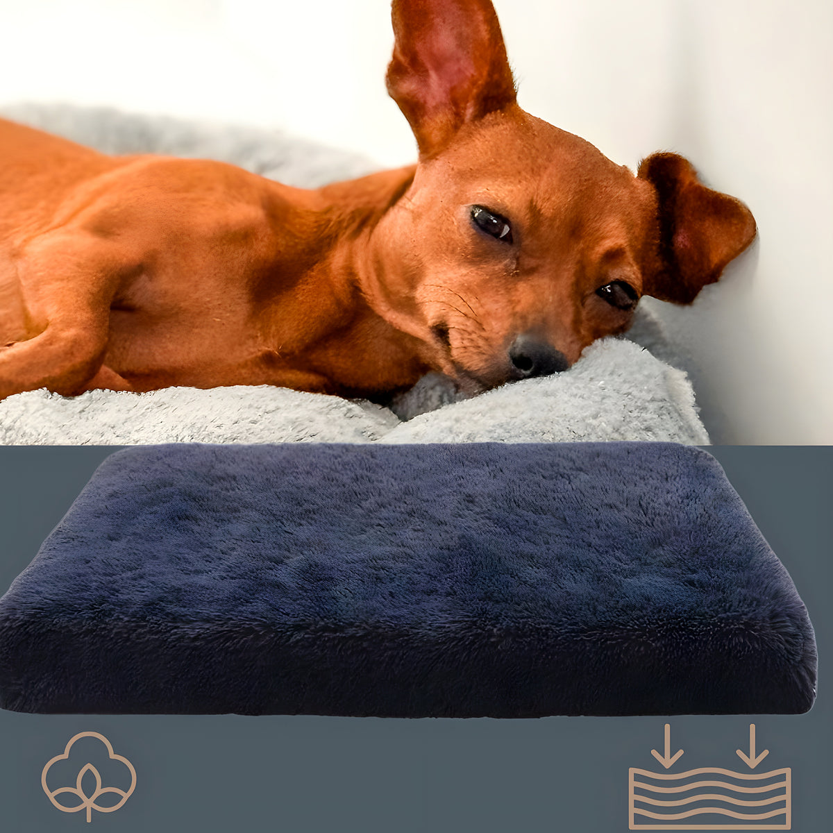 Coussin orthopédique pour chien, S à L