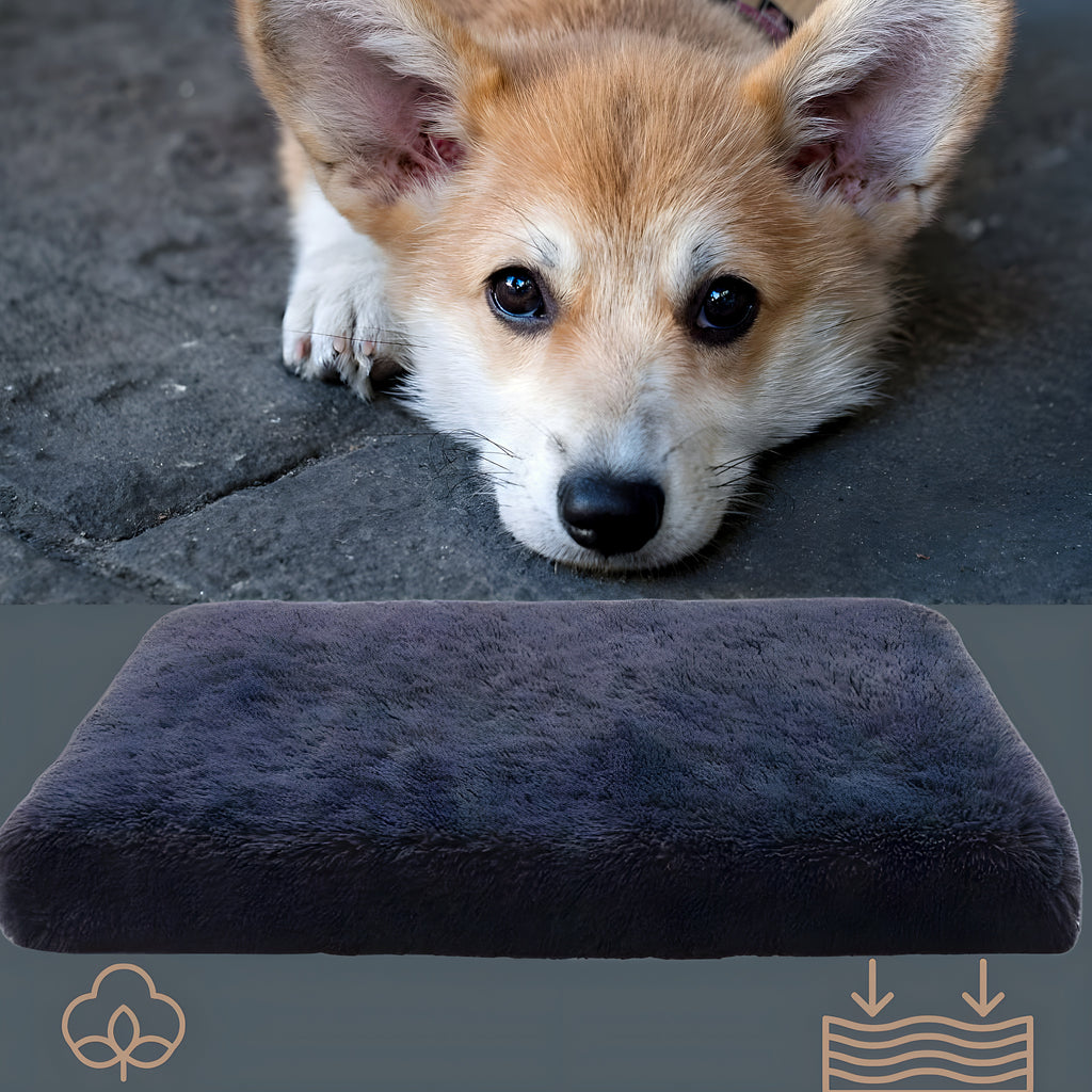 Coussin orthopédique pour chien, S à L