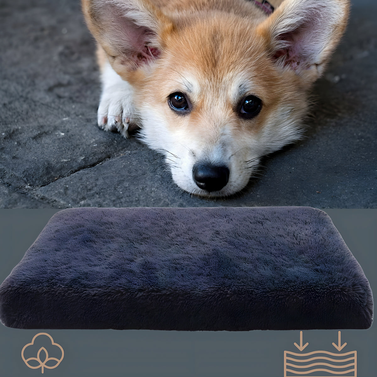 Coussin orthopédique pour chien, S à L