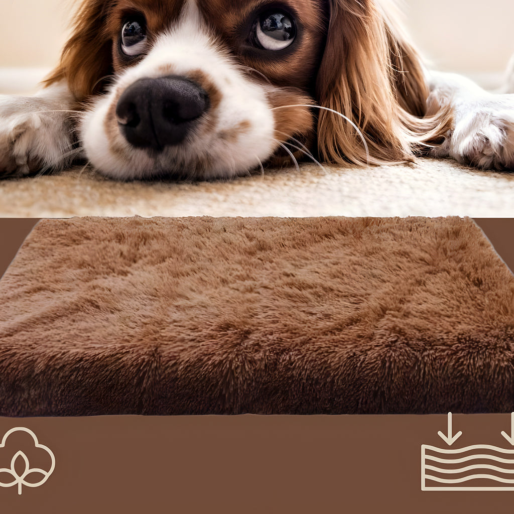 Coussin orthopédique pour chien, S à L