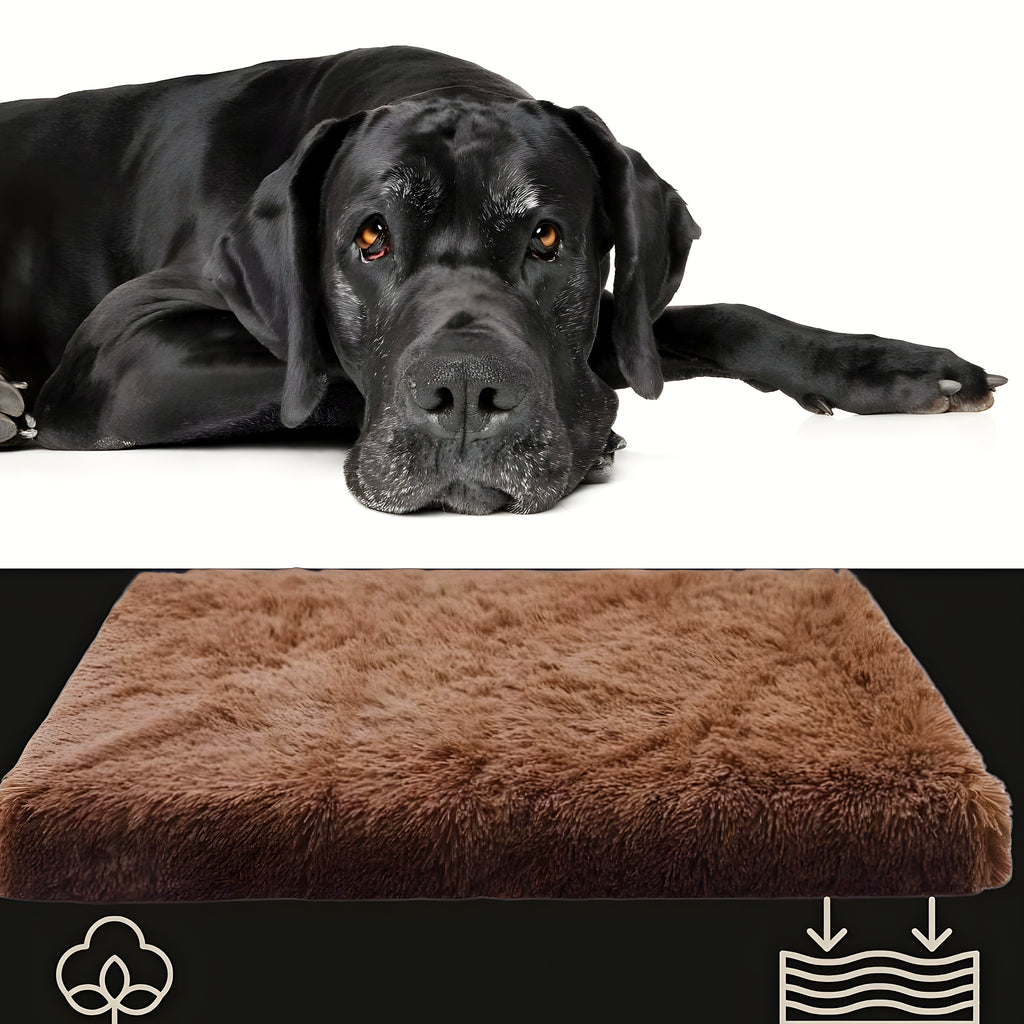 Coussin orthopédique pour chien, S à L