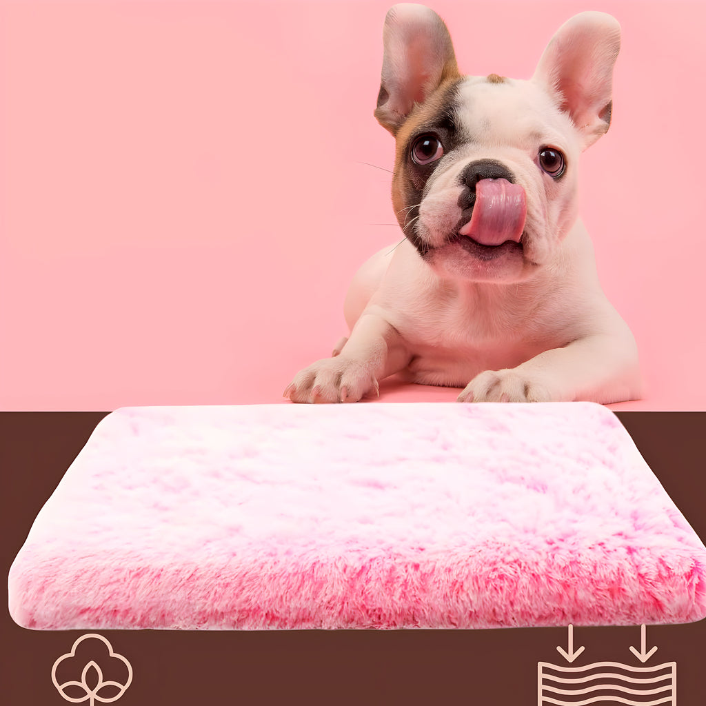 Coussin orthopédique pour chien, S à L