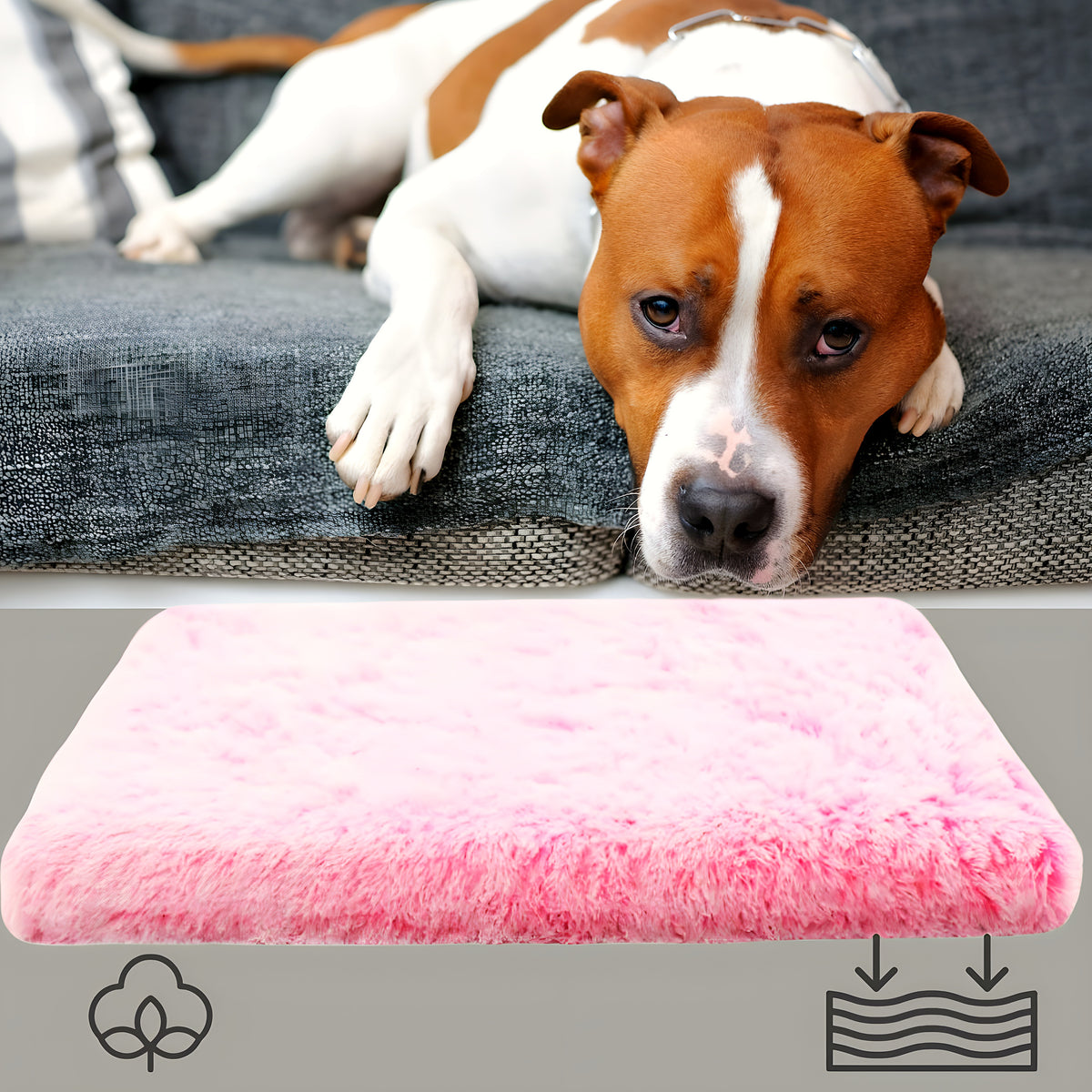 Coussin orthopédique pour chien, S à L