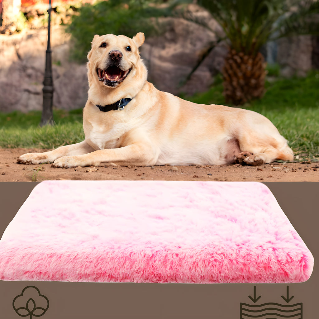 Coussin orthopédique pour chien, S à L