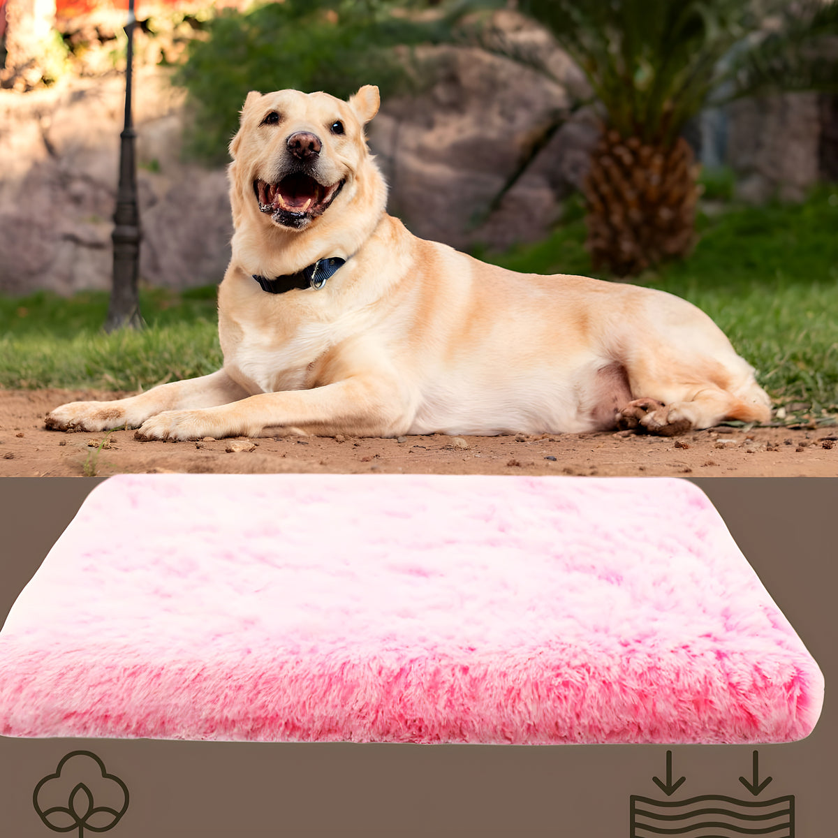 Coussin orthopédique pour chien, S à L