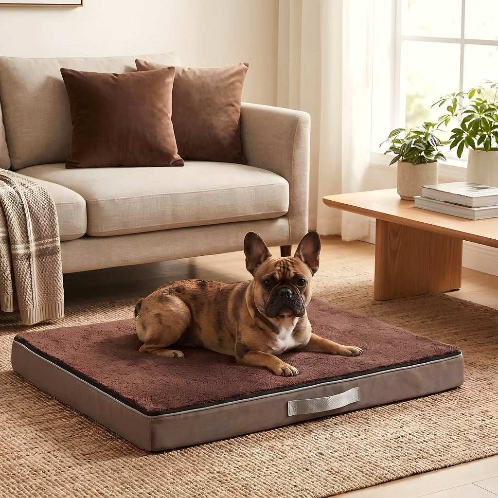 Coussin orthopédique réversible été/hiver pour chien