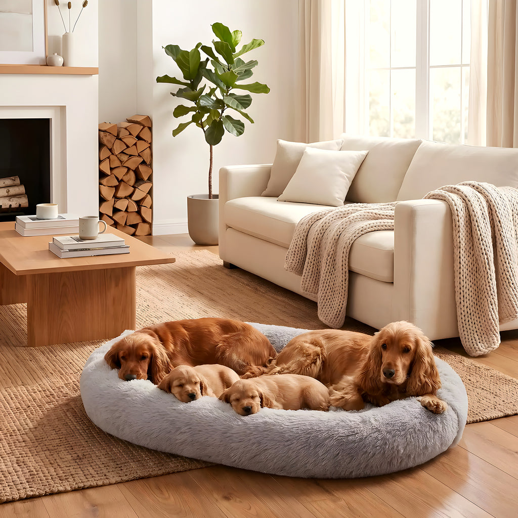 Coussin ovale XXL à mémoire de forme pour chien