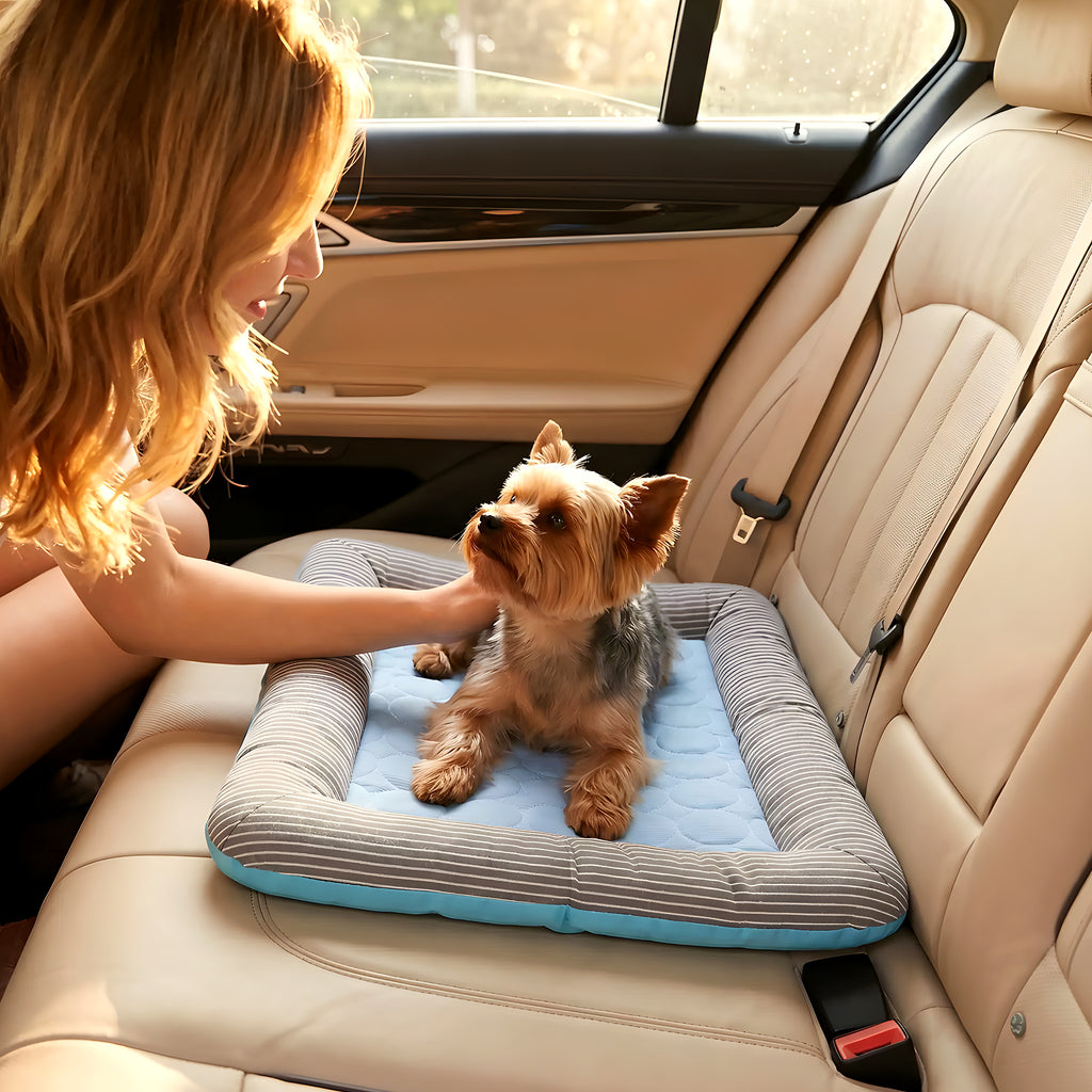 Coussin rafraîchissant à bords rembourrés pour chien