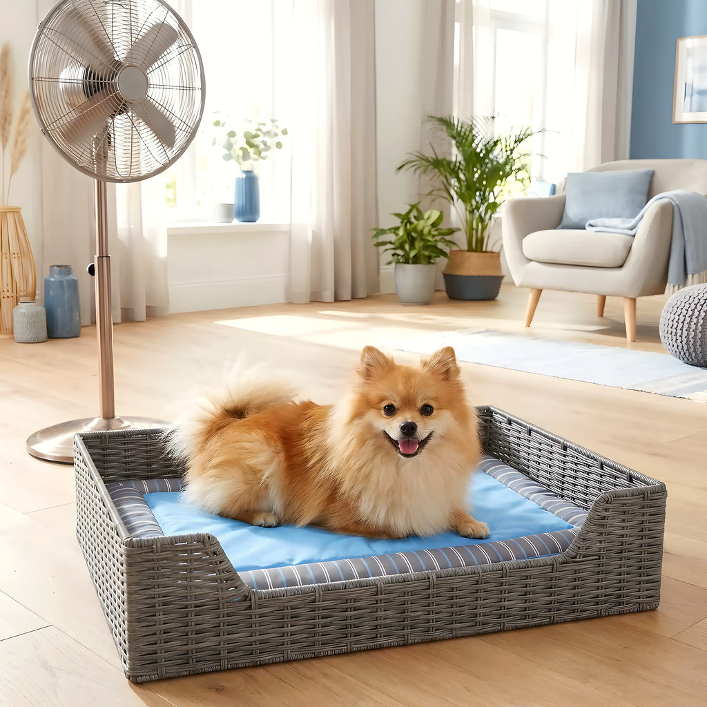 Coussin rafraîchissant à bords rembourrés pour chien