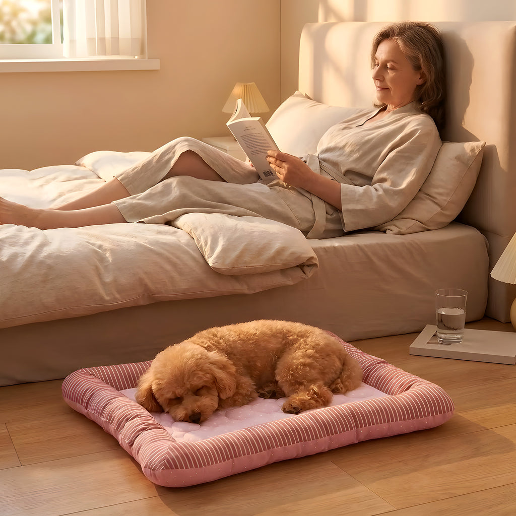 Coussin rafraîchissant à bords rembourrés pour chien