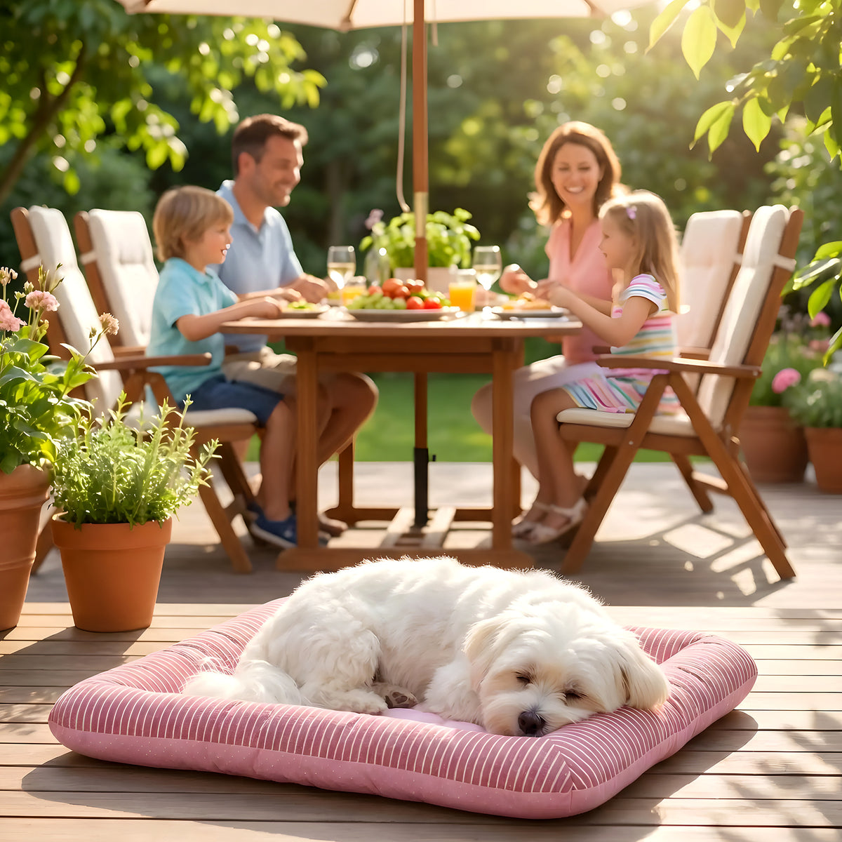 Coussin rafraîchissant à bords rembourrés pour chien