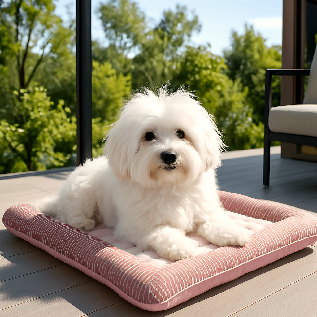 Coussin rafraîchissant en coton et Oxford pour chien