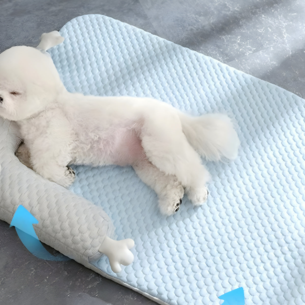 Coussin rafraîchissant en soie glacée pour petit chien