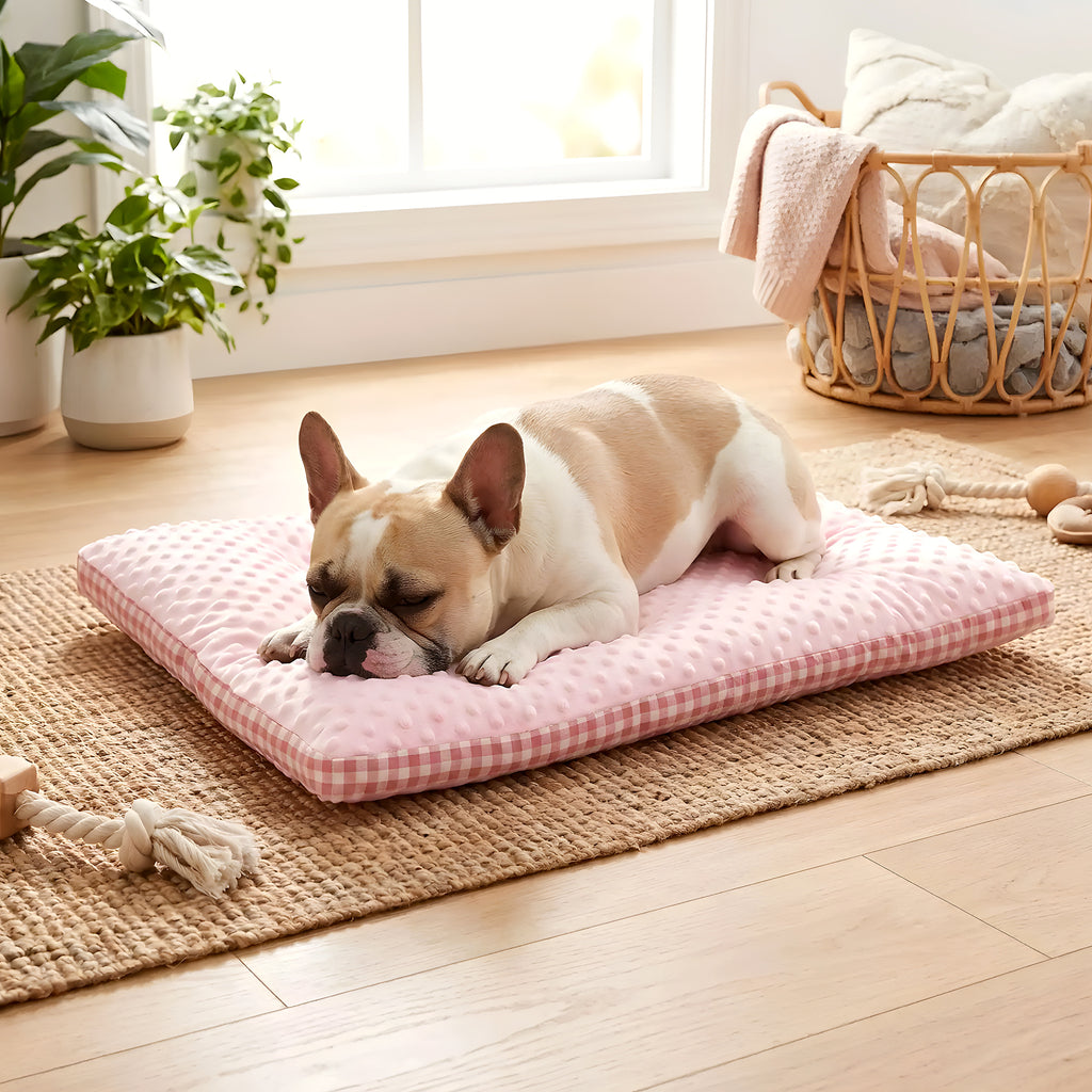 Coussin rectangulaire réversible été/hiver pour chien