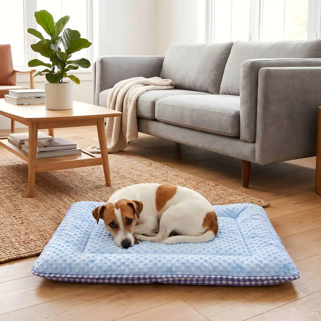 Coussin rectangulaire réversible été/hiver pour chien