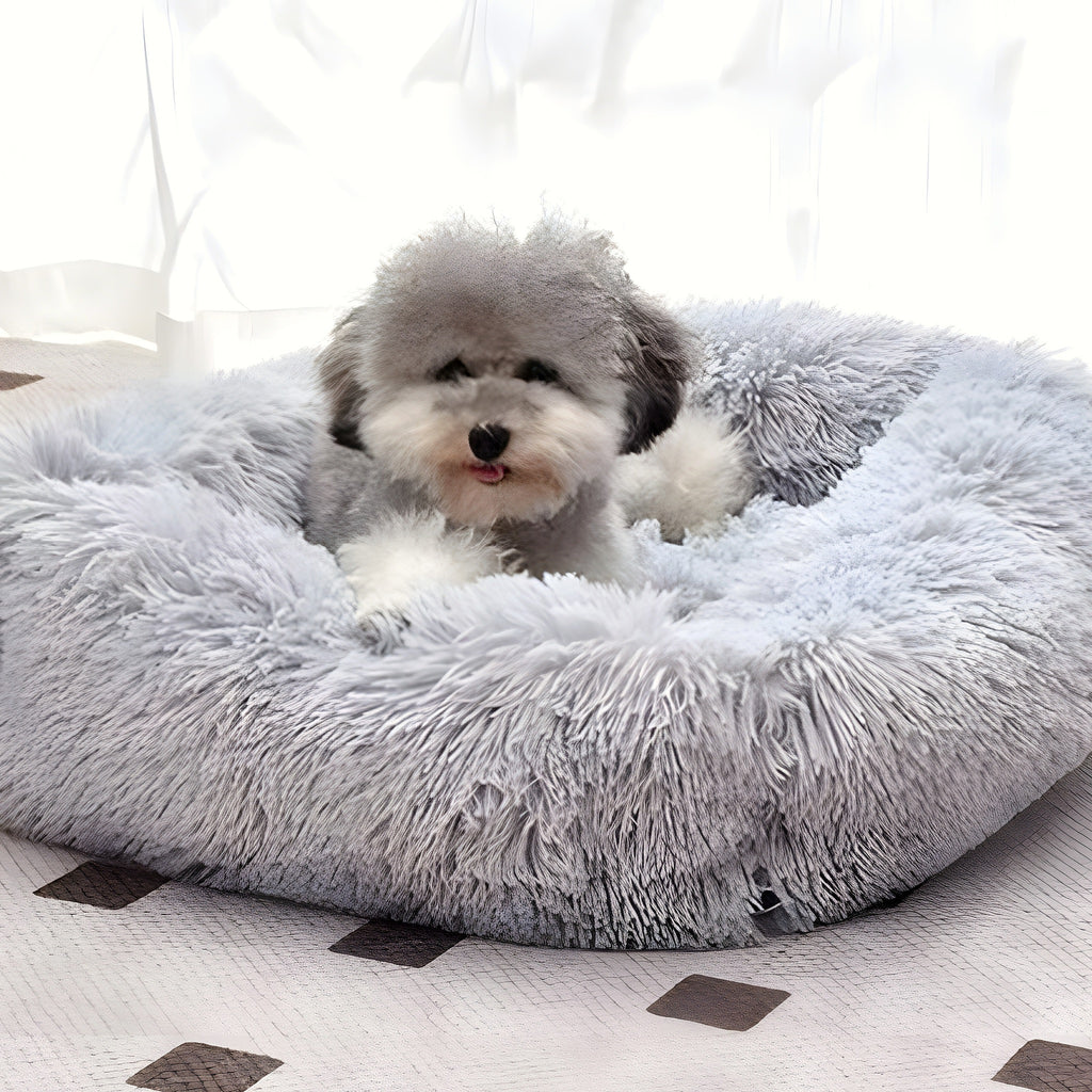 Coussin respirant à bords surélevés pour chien, S à L