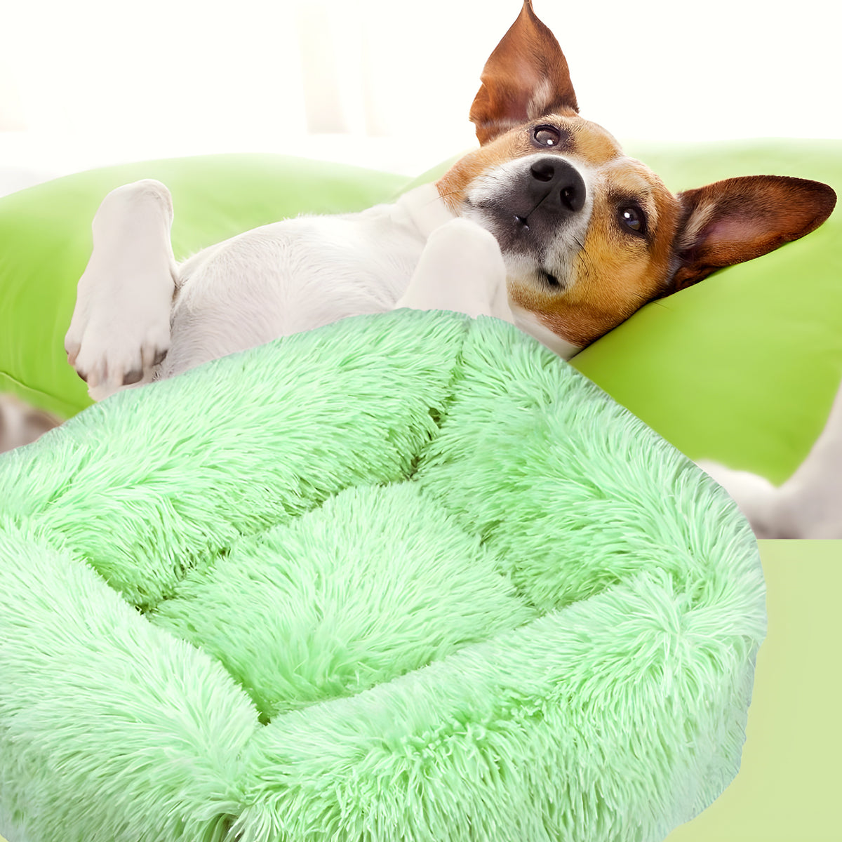 Coussin respirant à bords surélevés pour chien, S à L