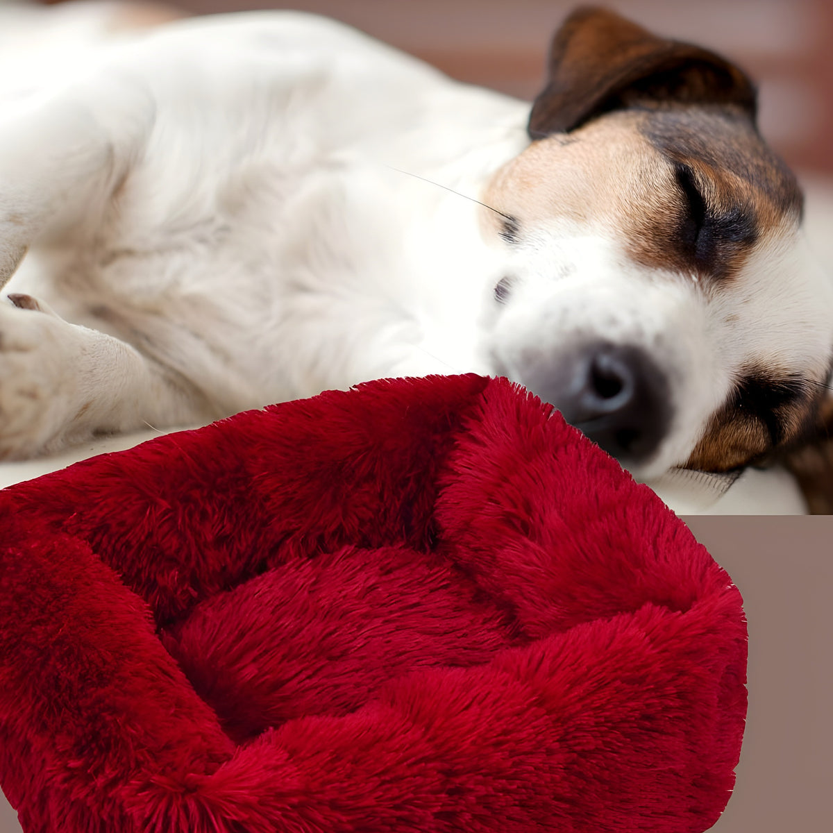 Coussin respirant à bords surélevés pour chien, S à L