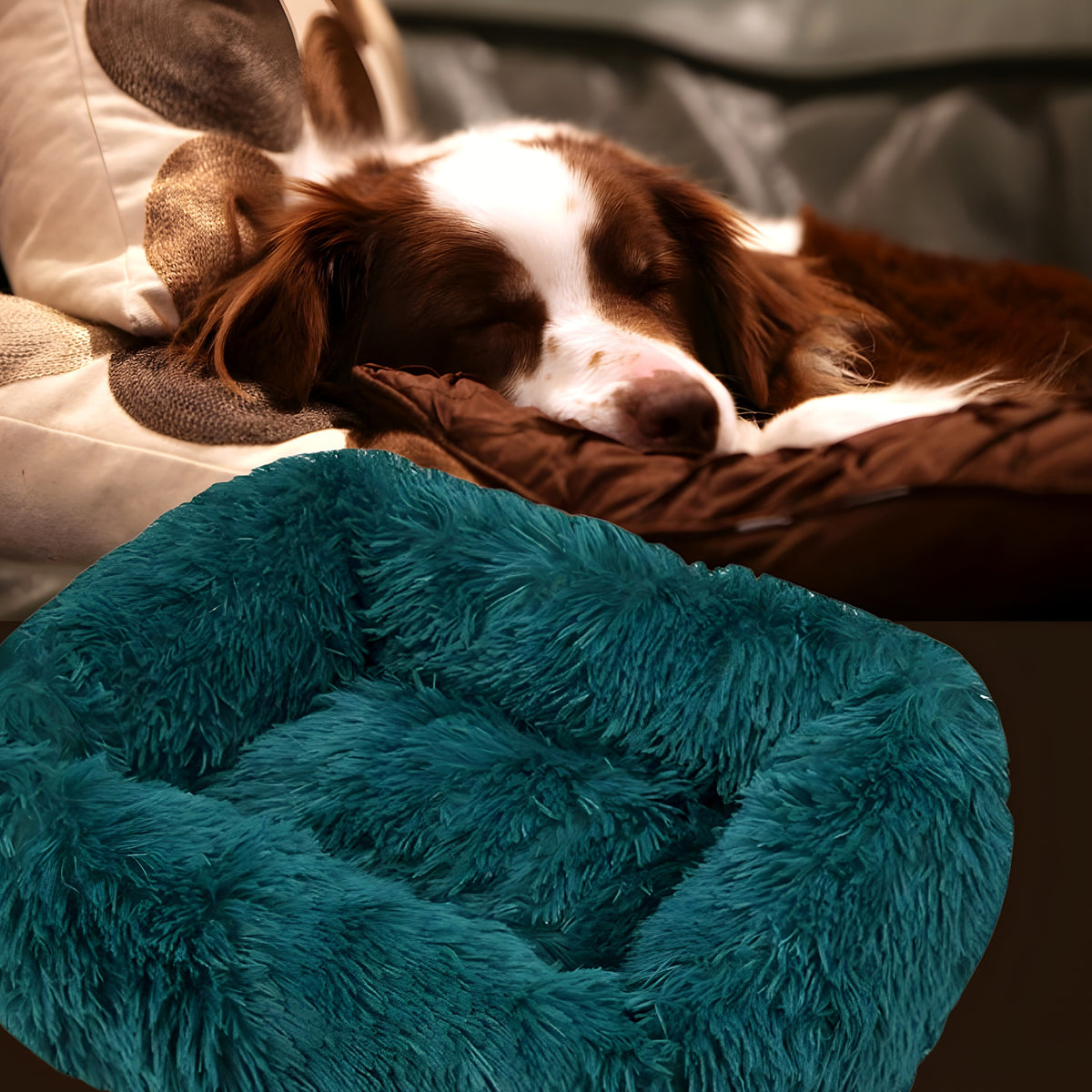 Coussin respirant à bords surélevés pour chien, S à L