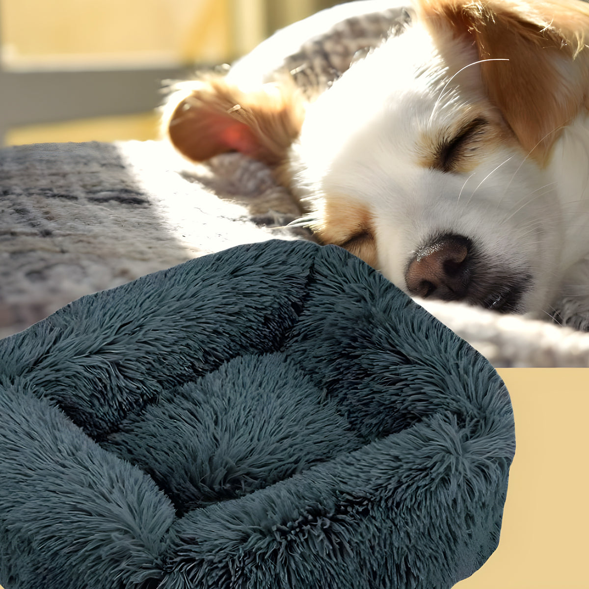 Coussin respirant à bords surélevés pour chien, S à L