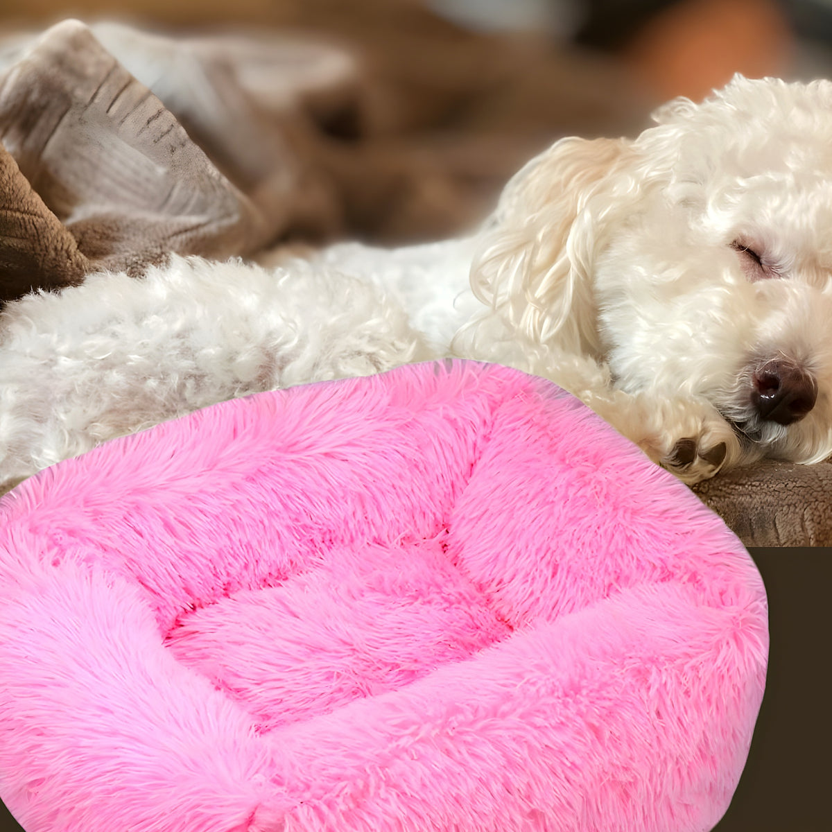 Coussin respirant à bords surélevés pour chien, S à L