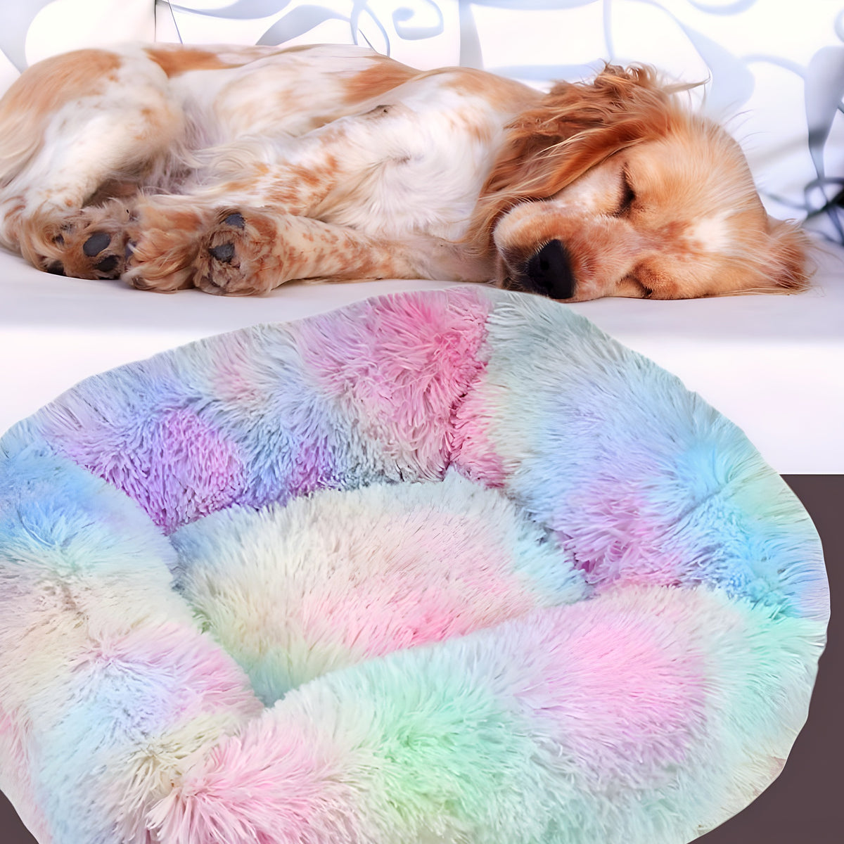 Coussin respirant à bords surélevés pour chien, S à L