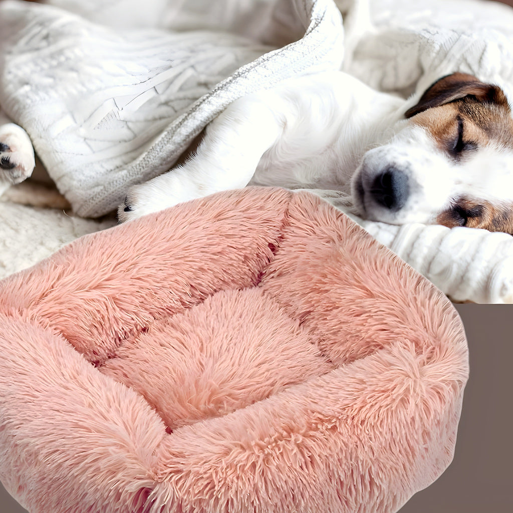 Coussin respirant à bords surélevés pour chien, S à L