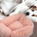Coussin respirant à bords surélevés pour chien, S à L