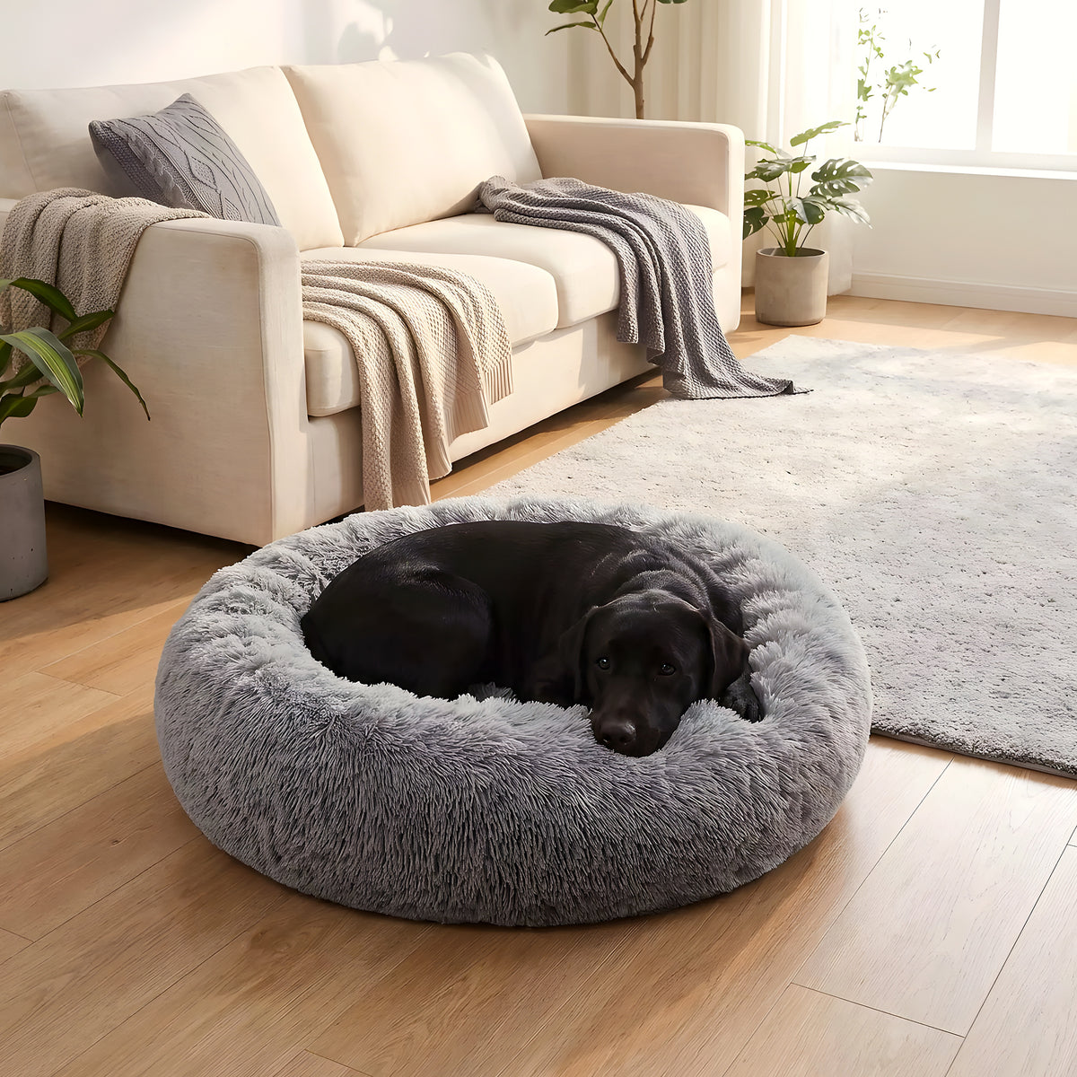 Coussin rond anti-stress en peluche pour chien