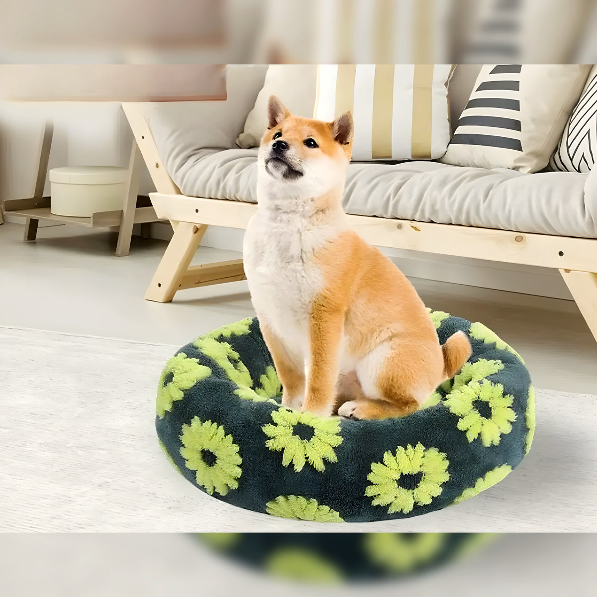 Coussin rond moelleux en coton pour chien, 5 motifs