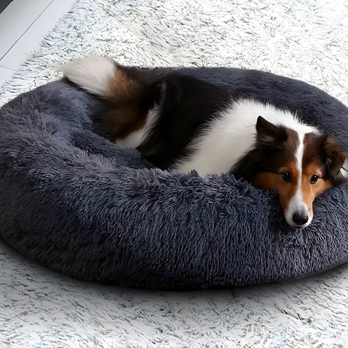 Coussin rond respirant anti-odeurs pour chien, Ø50 à 100 cm