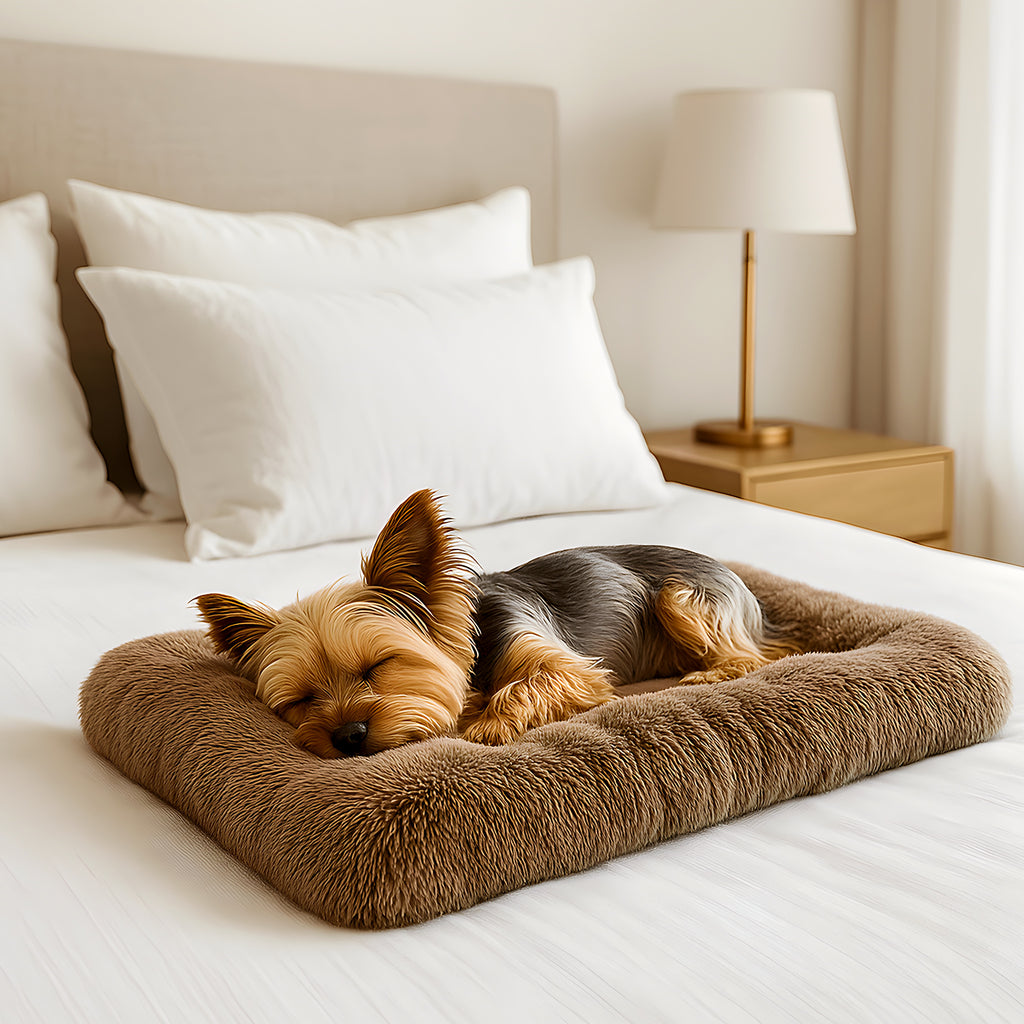 Coussin tapis stable antidérapant pour chien, 4 tailles