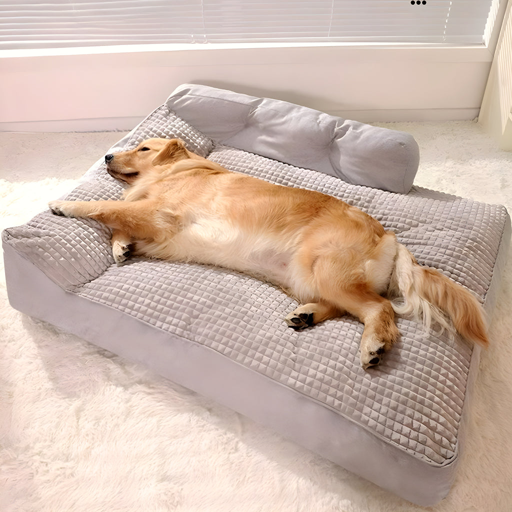 Coussin XXL en éponge haute densité pour grand chien