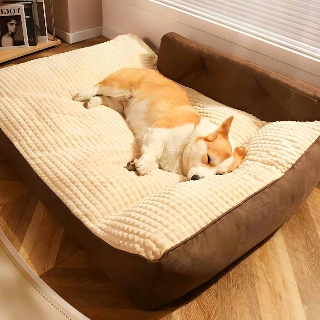 Coussin XXL en éponge haute densité pour grand chien