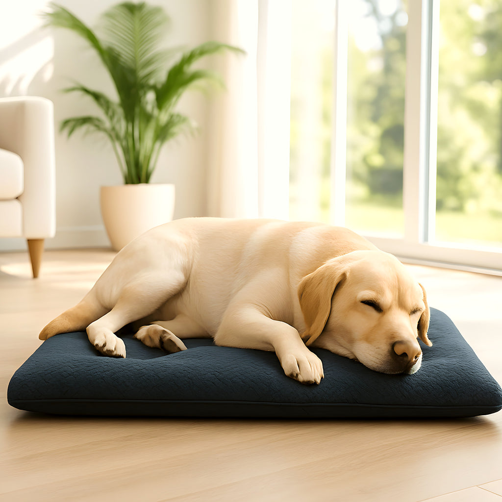 Coussin XXL épais de 12 cm pour grand chien