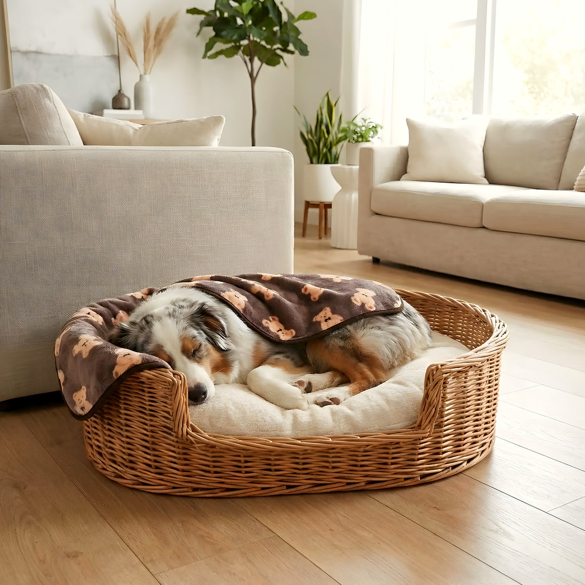 Couvertures polaires pour chien, lot de 2