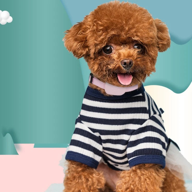 Mini Traceur GPS Mondial Pour Animaux De Compagnie Compatible Avec L'Application Apple Find, Étanche, Avec Suivi De Position En Temps Réel, Alerte D'Activité, Collier Anti-Perte Pour Chatons Et Chiots, Localisateur Mondial