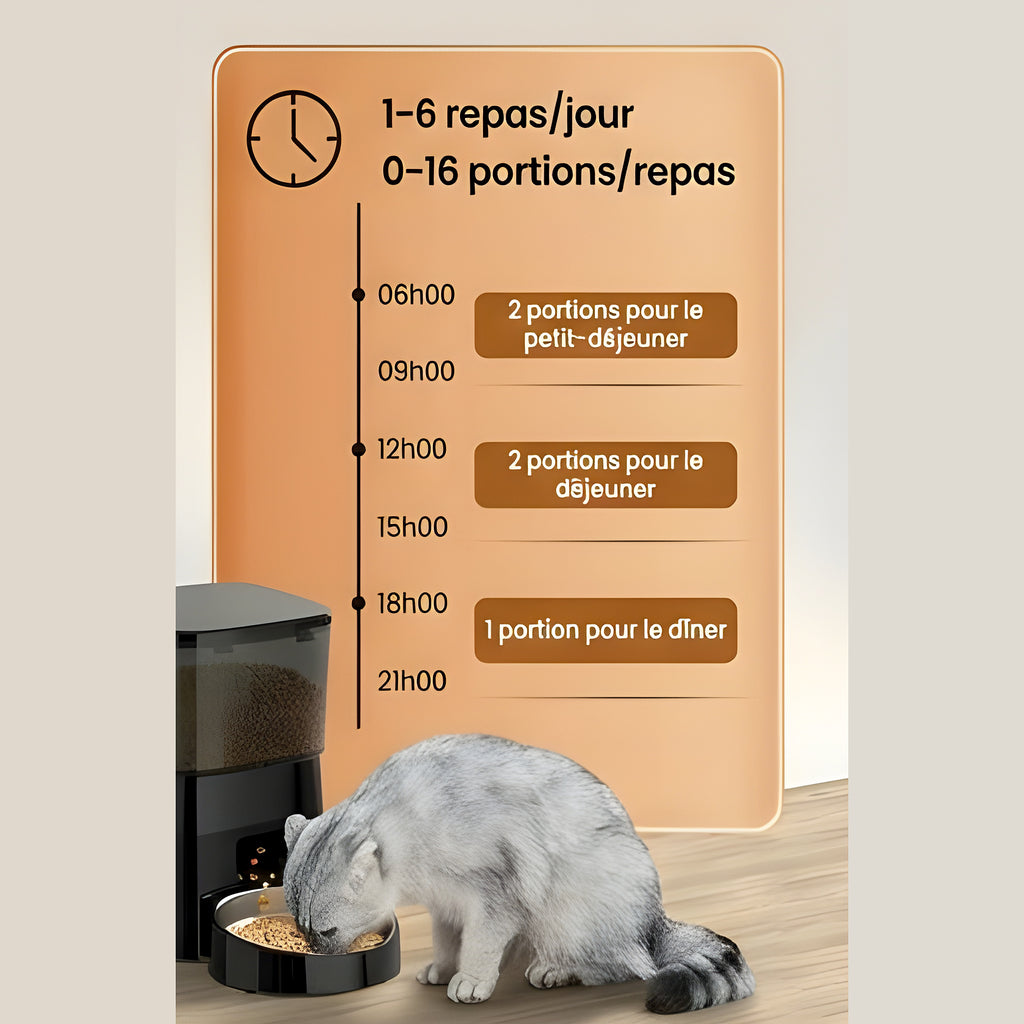 Distributeur 2L programmable