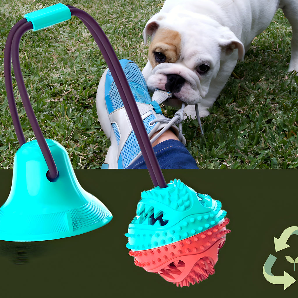 Distributeur de croquettes en caoutchouc naturel pour chien