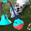 Distributeur de croquettes en caoutchouc naturel pour chien