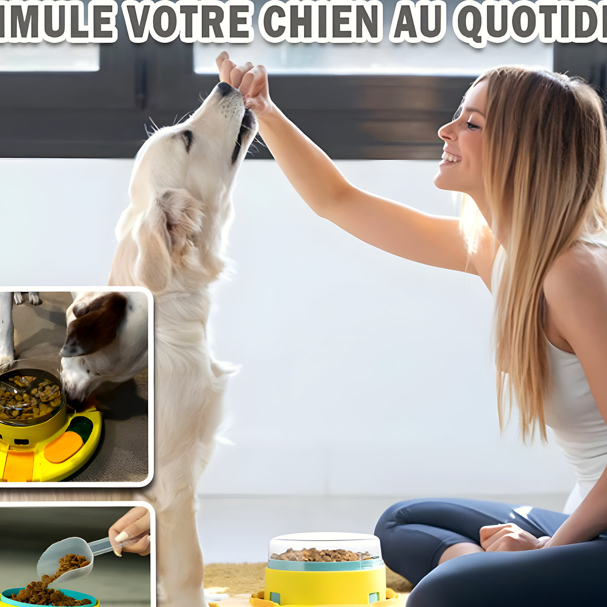 Distributeur de croquettes intelligent pour chien