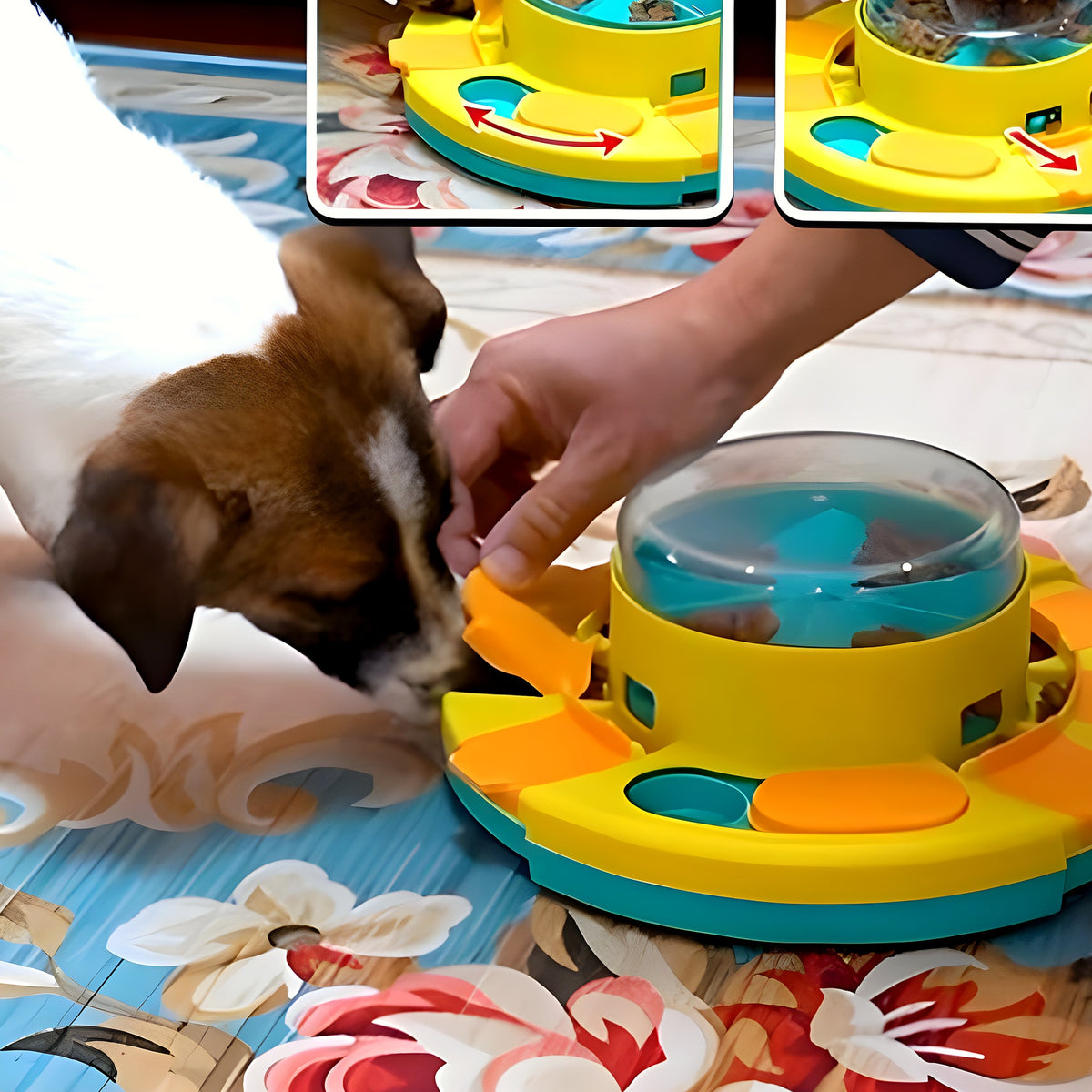 Distributeur de croquettes intelligent pour chien