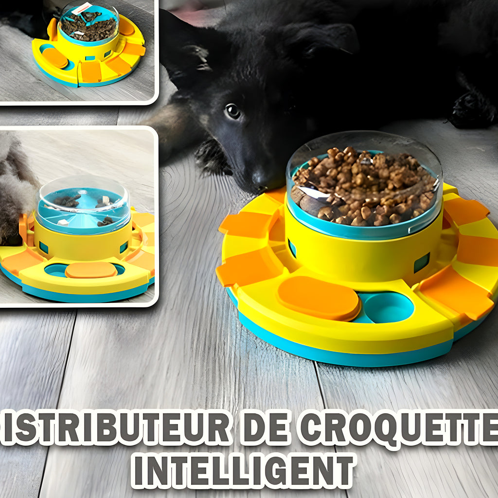 Distributeur de croquettes intelligent pour chien