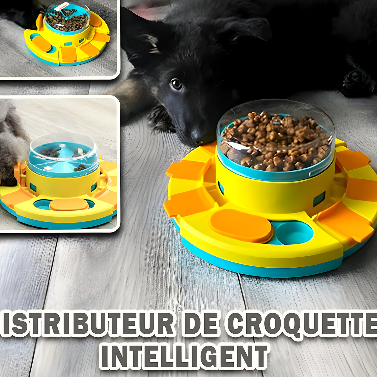 Distributeur de croquettes intelligent pour chien