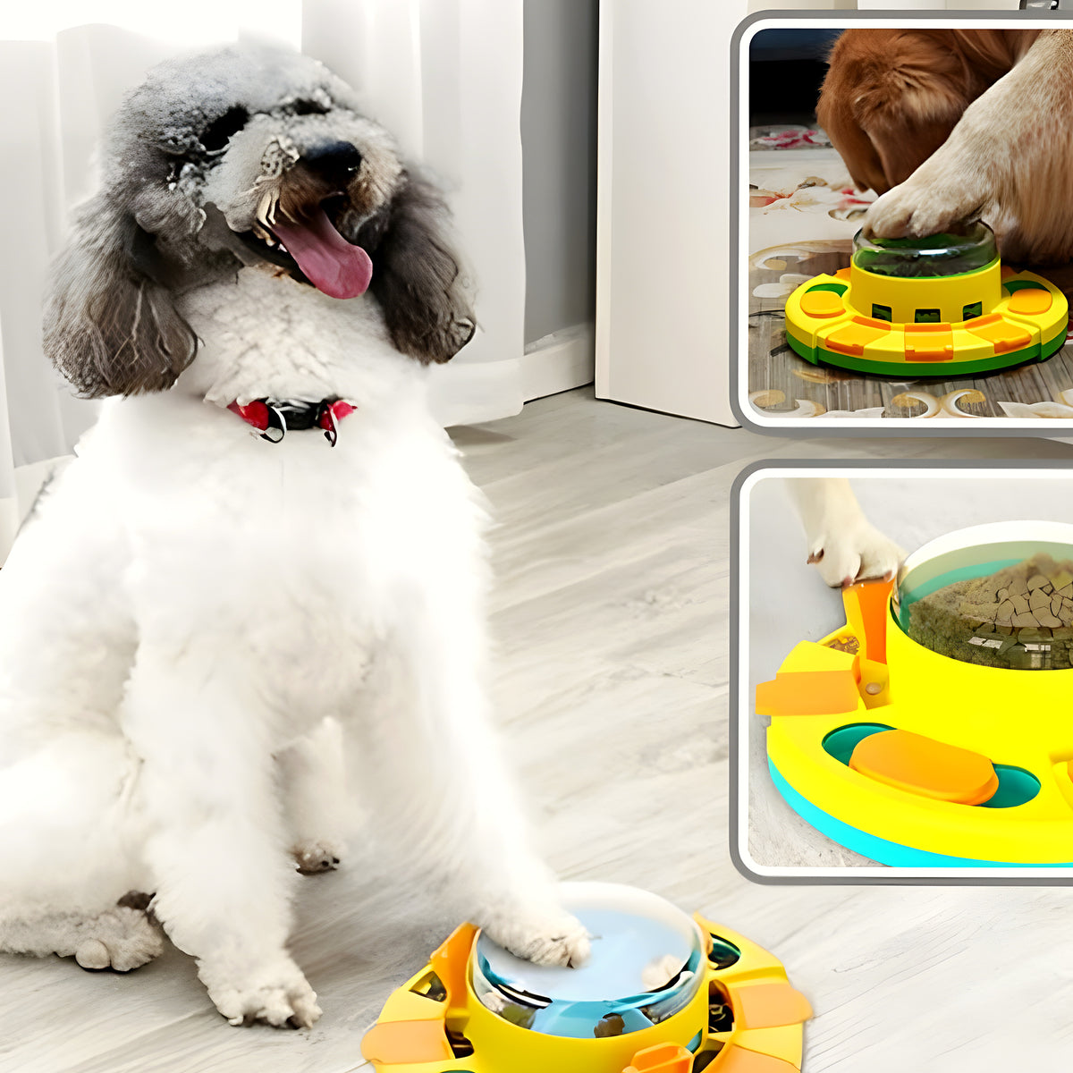 Distributeur de croquettes intelligent pour chien