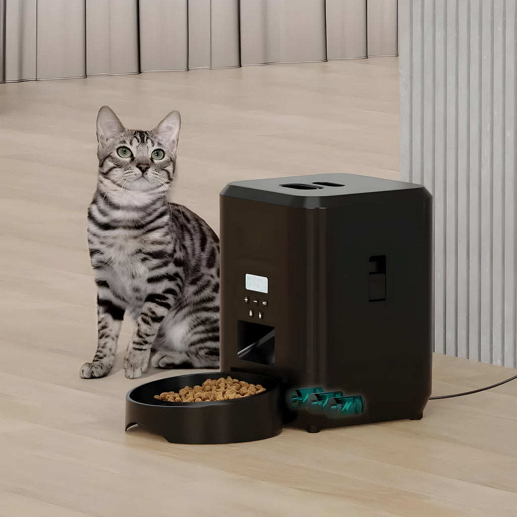 Distributeur WiFi anti-glouton
